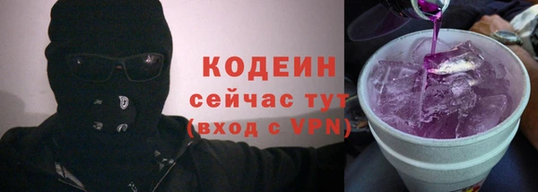 соль ск Бородино