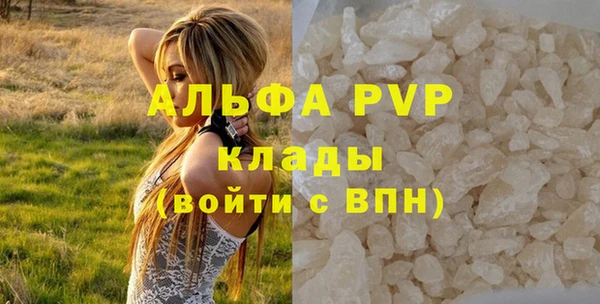 соль ск Бородино