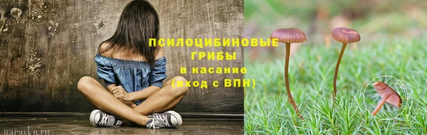 ECSTASY Верхний Тагил