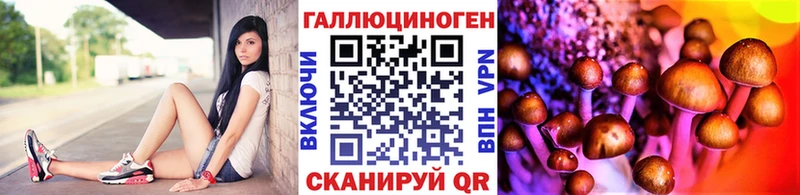 Псилоцибиновые грибы Magic Shrooms  Карпинск 